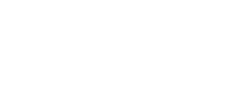 Valysia logo groot